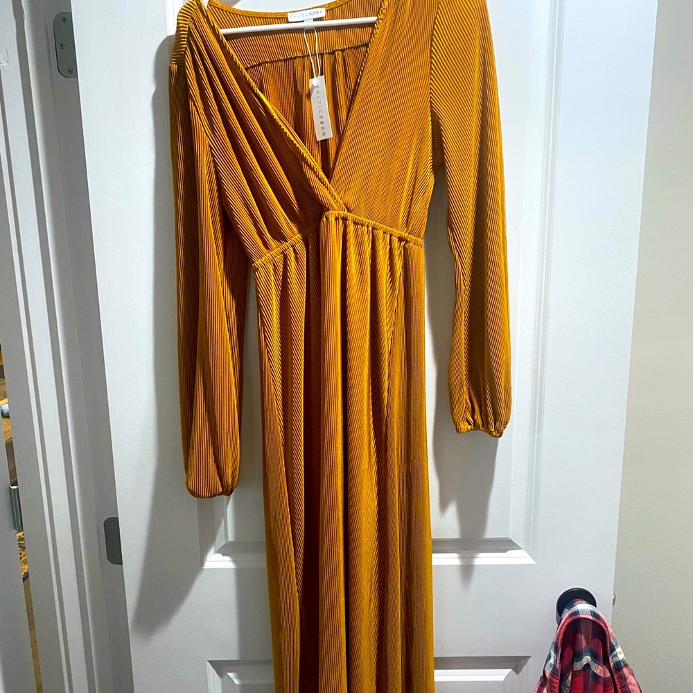 NWT Baltic Born dress
